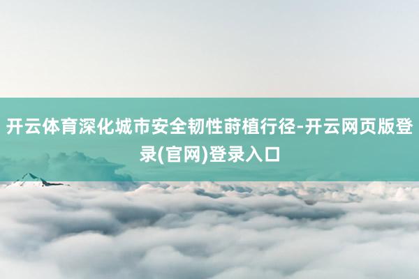 开云体育深化城市安全韧性莳植行径-开云网页版登录(官网)登录入口