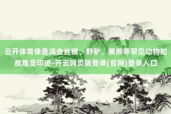 云开体育像是滇金丝猴、野驴、黑熊等罕见动物如故难觅印迹-开云网页版登录(官网)登录入口