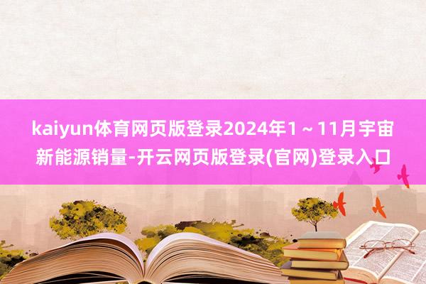 kaiyun体育网页版登录2024年1~11月宇宙新能源销量-开云网页版登录(官网)登录入口